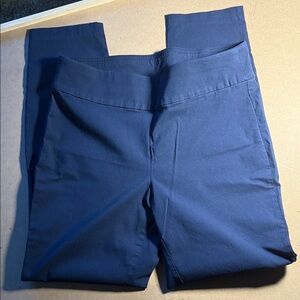Christopher & Banks Navy Signature Slimming Leggings